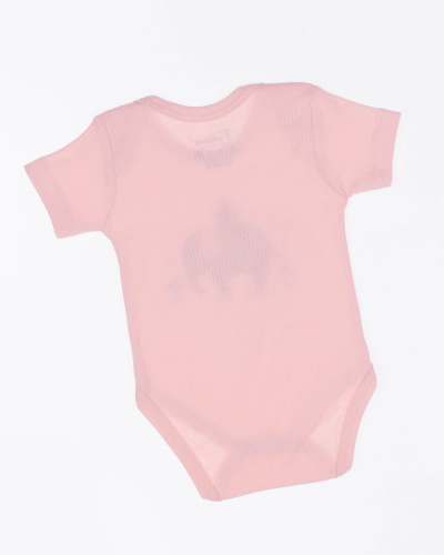 FINDIK 12526 Боди FINDIK 12526 Боди фото