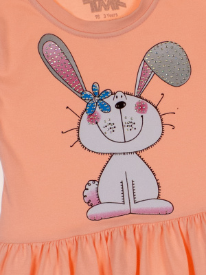 20250815-IMG_1185 20250815-IMG_1185