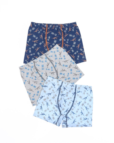 BAYKAR Боксеры 3584 фото