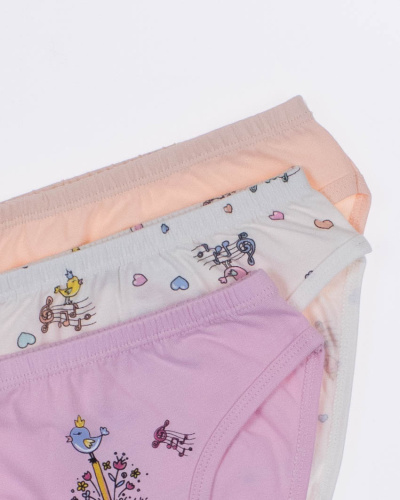 BAYKAR Трусы 5344/3 фото