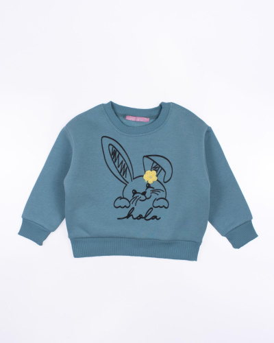 FIRST KIDS 11113 Свитшот утепленный FIRST KIDS 11113 Свитшот утепленный фото