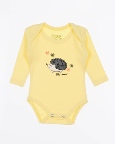 FINDIK 11700 Боди фото